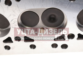 Изображение раздела головка блока газ-2410,3302 аи-93 в сборе tanaki