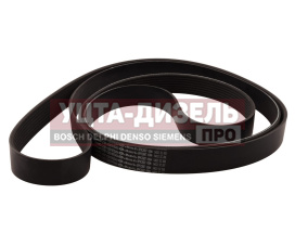 Изображение раздела ремень приводной поликлиновой 8pk2687 jac sunray sollers atlant (2.7d) (4de1-1d) (е5) oe