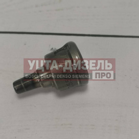 Изображение раздела нагнетательный клапан 2418559037 xinya