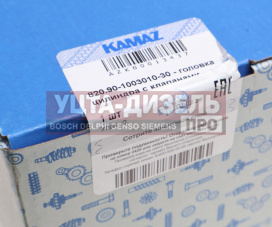 Изображение раздела головка блока камаз-евро-4,5 с клапанами (дв.820.60-73,820.90-93 газ) (оао камаз)