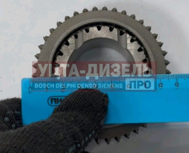 Изображение раздела шестерня кпп газ-3302,газель next 5-й передачи вала вторичного шлифованный зуб акком