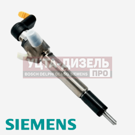 Изображение раздела форсунка топливная siemens a2c59513484 (166008052r)