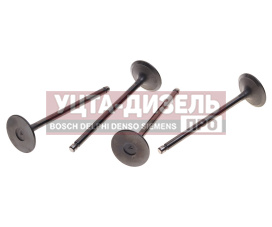 Изображение раздела клапан впускной jac n56 sollers atlant oe