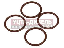 Изображение раздела кольцо газель next,nn дв.g21a уплотнительное форсунки movelex