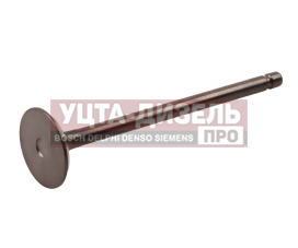 Изображение раздела клапан выпускной jac n75,n80,n120 камаз компас-9/12 (isf 3.8) oe